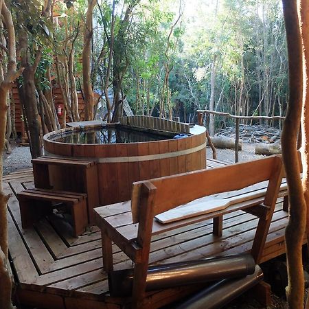 Cabañas Ensenada Bosque Nativo Exterior foto