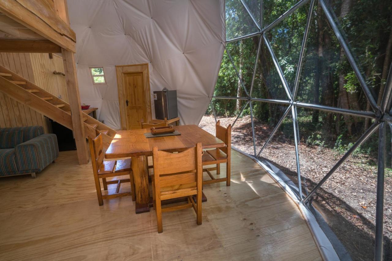 Cabañas Ensenada Bosque Nativo Exterior foto