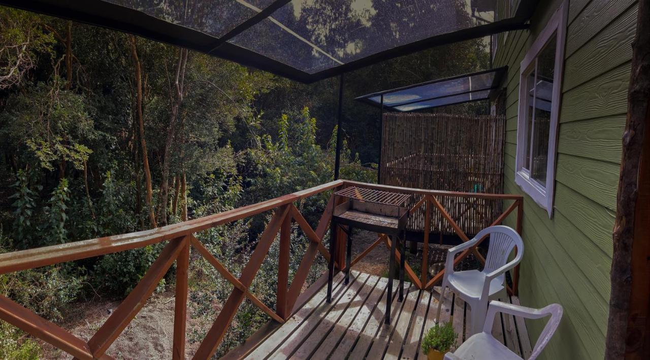 Cabañas Ensenada Bosque Nativo Exterior foto