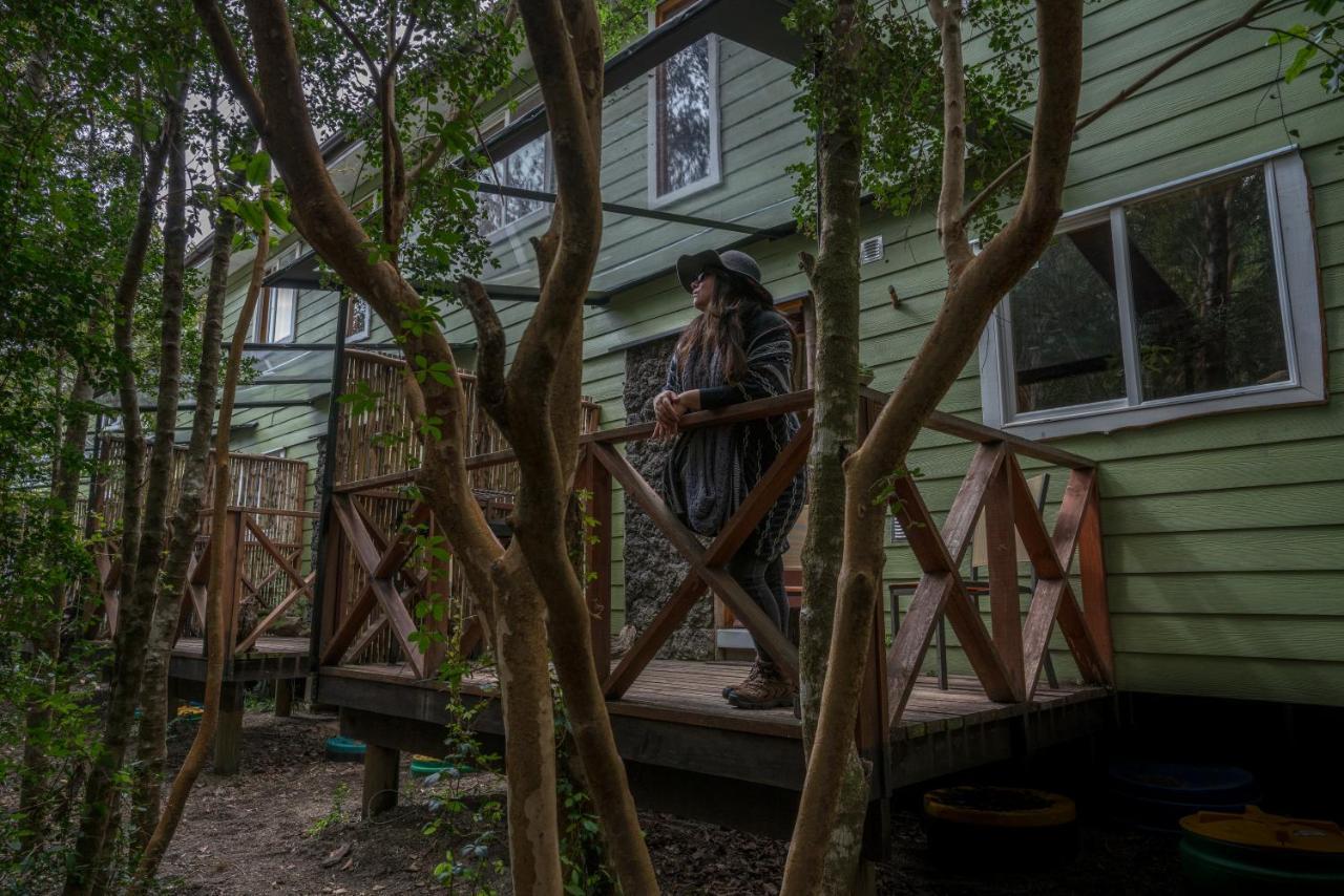 Cabañas Ensenada Bosque Nativo Exterior foto
