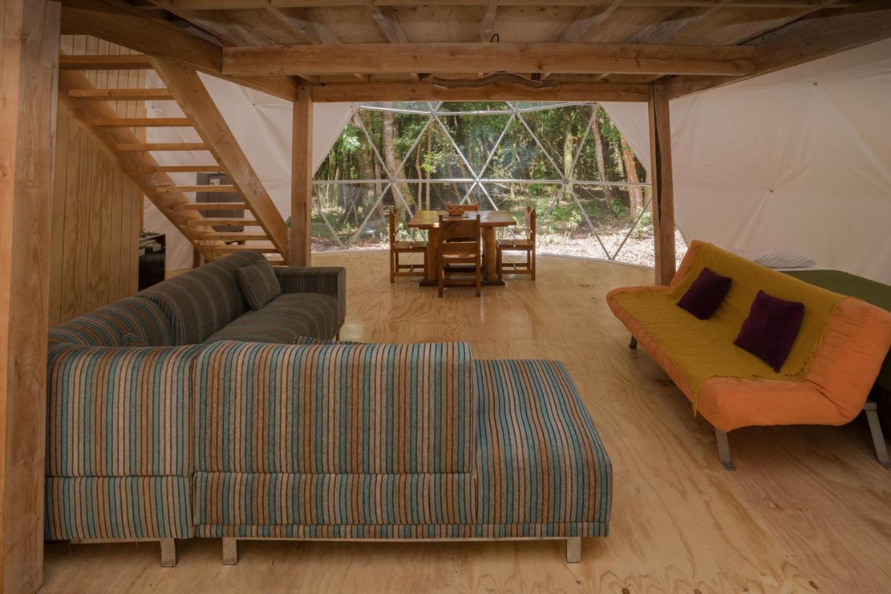 Cabañas Ensenada Bosque Nativo Exterior foto