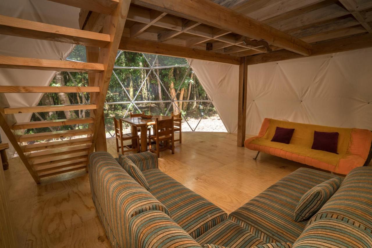 Cabañas Ensenada Bosque Nativo Exterior foto