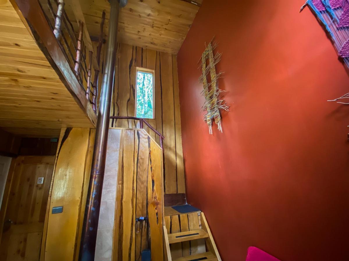 Cabañas Ensenada Bosque Nativo Exterior foto