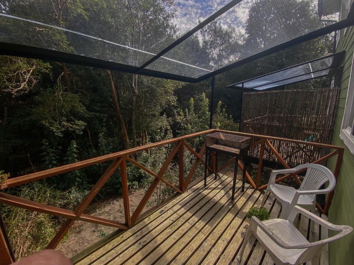 Cabañas Ensenada Bosque Nativo Exterior foto