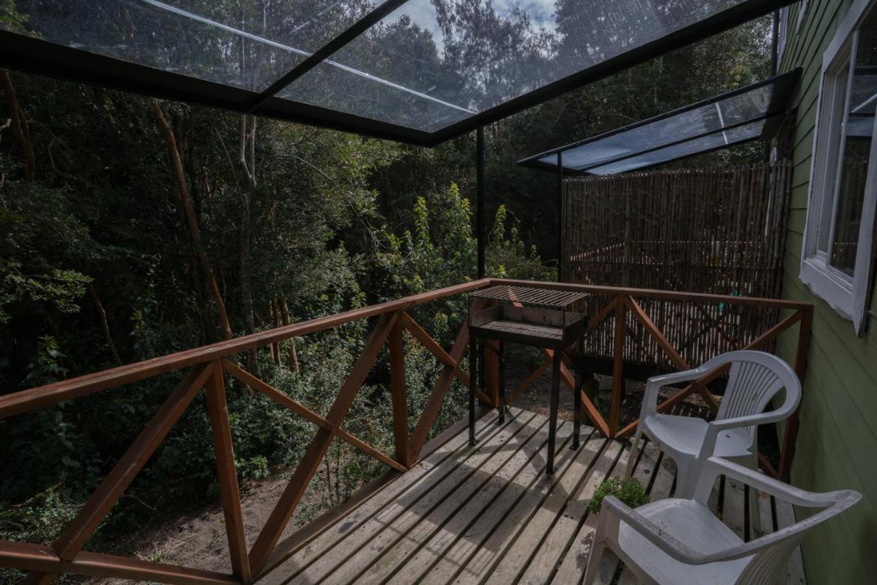 Cabañas Ensenada Bosque Nativo Exterior foto