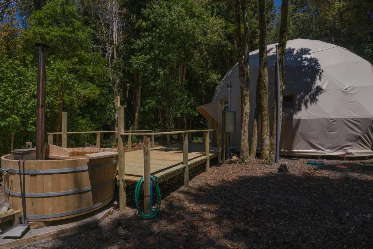 Cabañas Ensenada Bosque Nativo Exterior foto