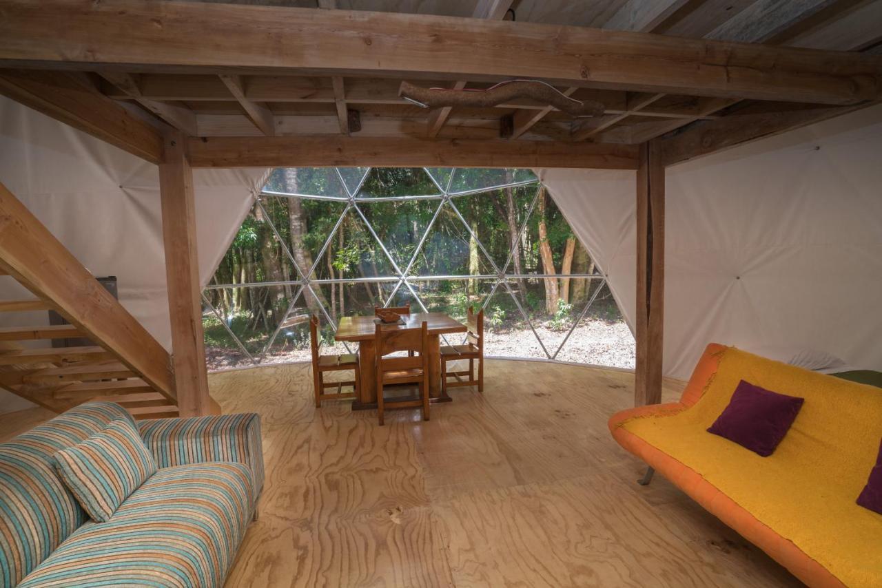 Cabañas Ensenada Bosque Nativo Exterior foto