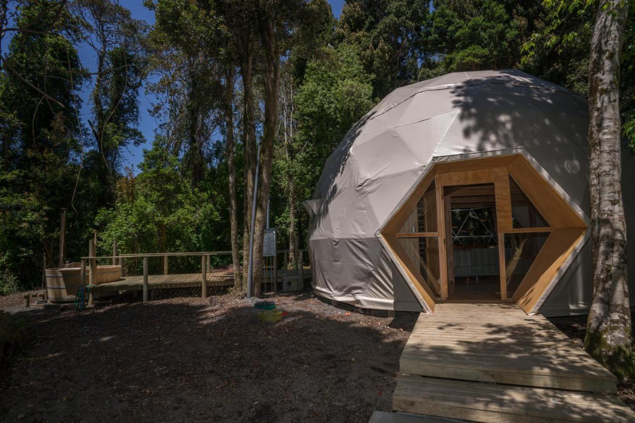 Cabañas Ensenada Bosque Nativo Exterior foto