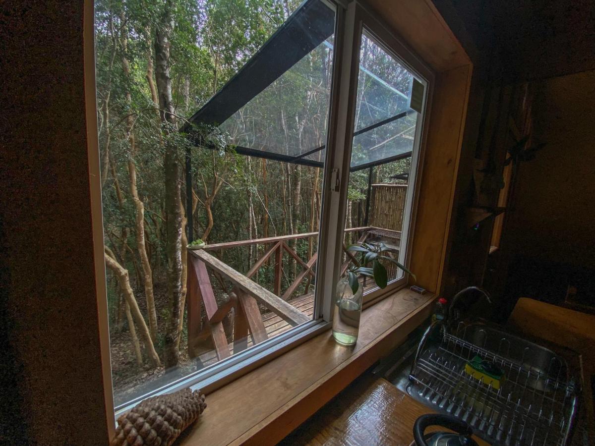 Cabañas Ensenada Bosque Nativo Exterior foto