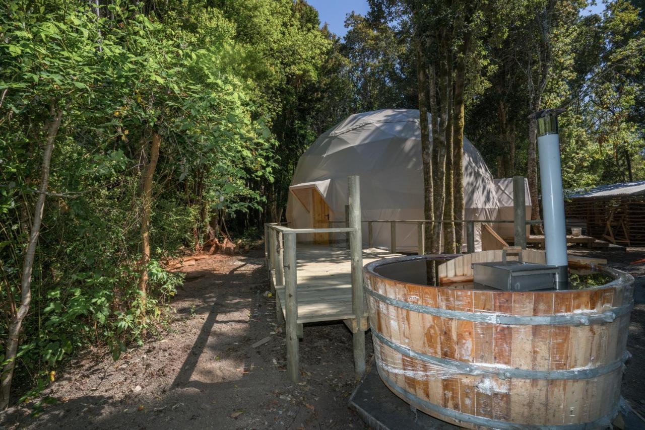 Cabañas Ensenada Bosque Nativo Exterior foto