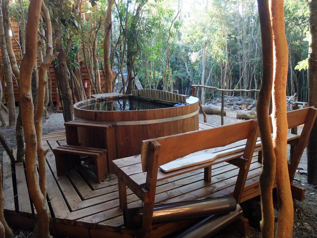 Cabañas Ensenada Bosque Nativo Exterior foto