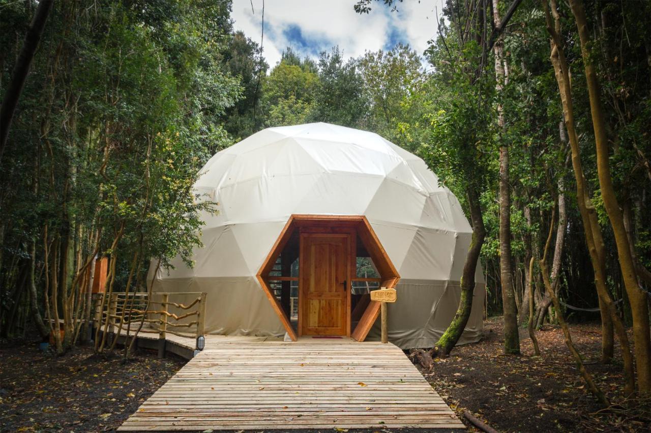 Cabañas Ensenada Bosque Nativo Exterior foto