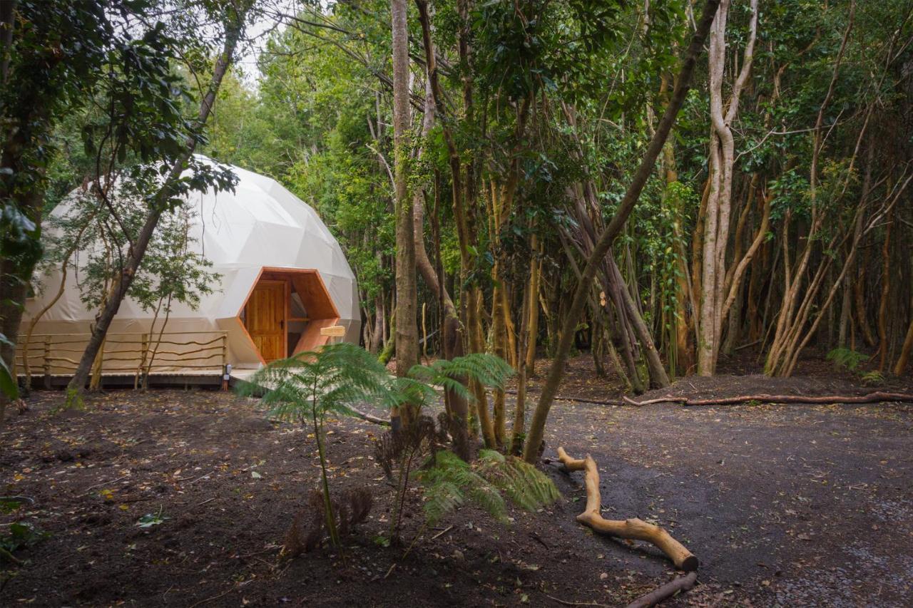 Cabañas Ensenada Bosque Nativo Exterior foto