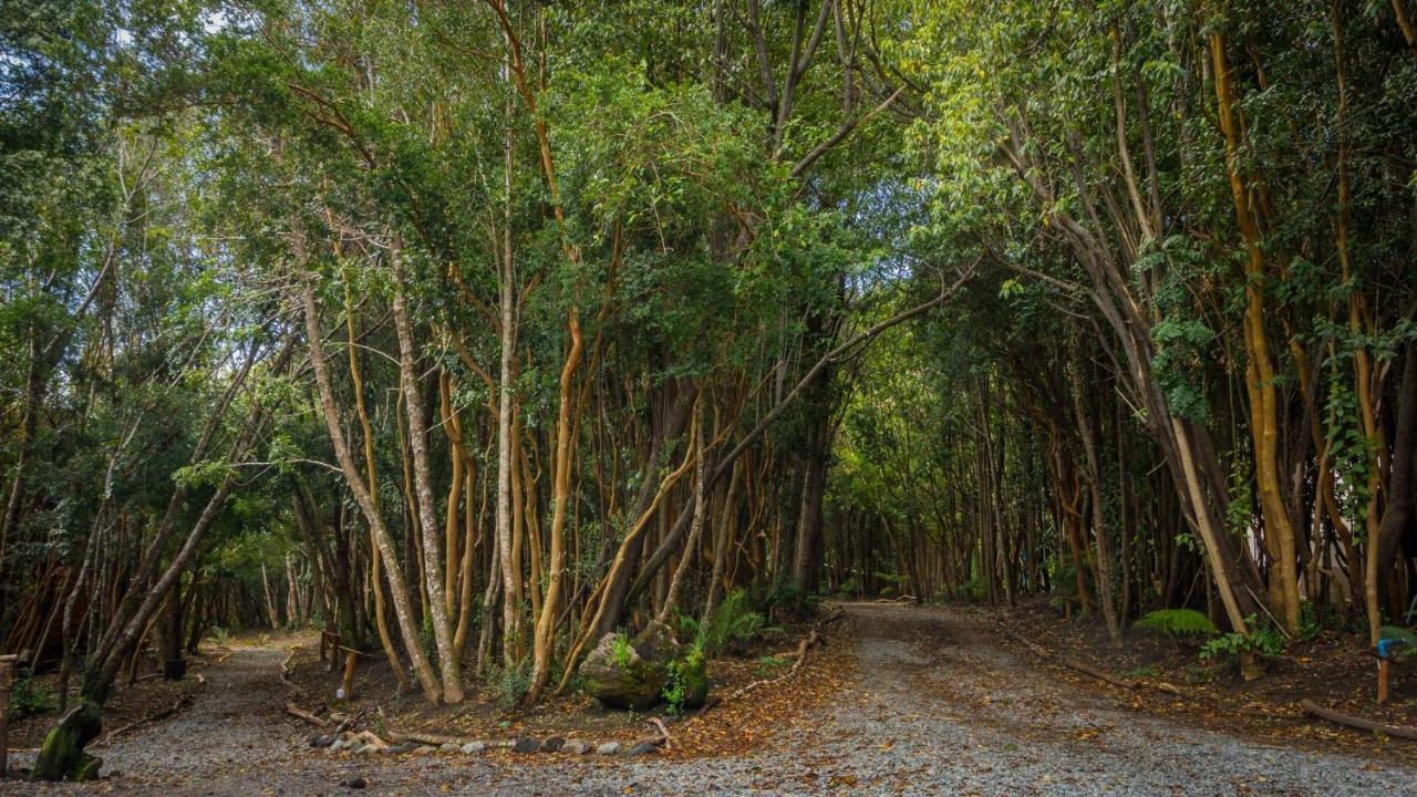 Cabañas Ensenada Bosque Nativo Exterior foto