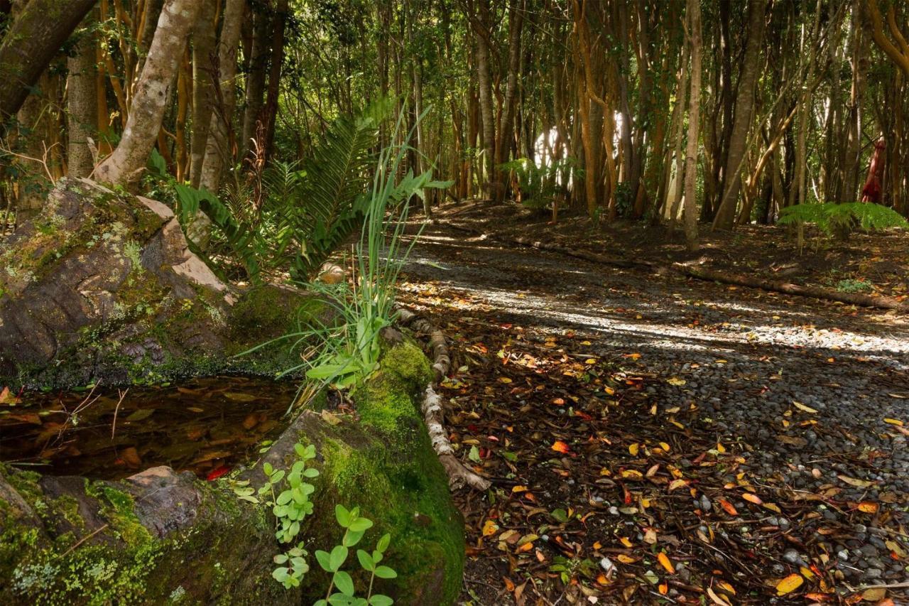 Cabañas Ensenada Bosque Nativo Exterior foto